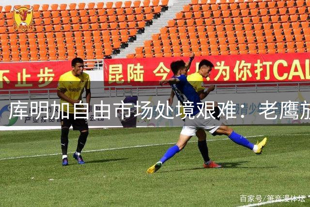 库明加自由市场处境艰难：老鹰放弃签约 多支球队谈判受阻