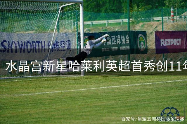 水晶宫新星哈莱利英超首秀创11年纪录
