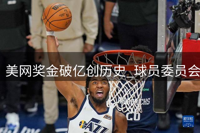 美网奖金破亿创历史 球员委员会即将成立