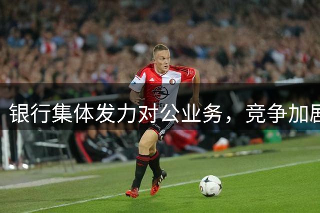 银行集体发力对公业务，竞争加剧压力倍增